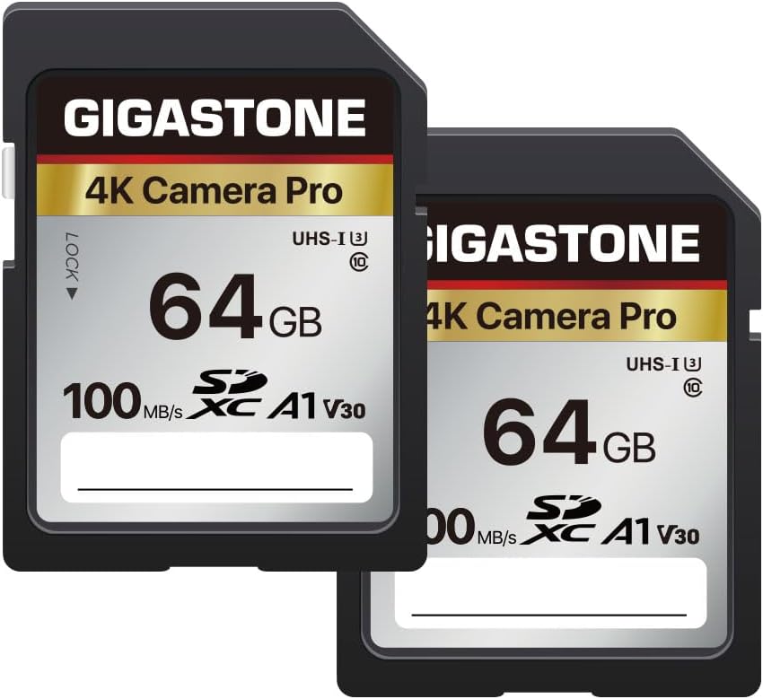 [5-Yrs Free Data Recovery] GIGASTONE 64GB SD Card 2-Pack, 4K Camera Pro, A1 V30 SDXC Memory Card 4K UHD Video Compatible with Canon Digital Camera, with 2 Mini Cases