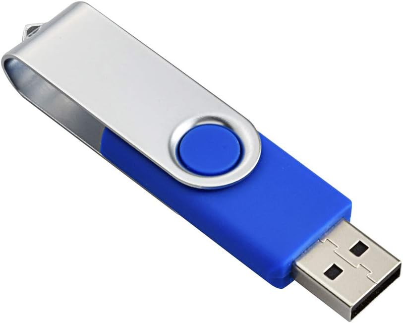 Aiibe 10 Pack 4GB 4G Flash Drive USB Flash Drive Thumb Drives USB 2.0 Memory Stick Wholesale/Lot/Bulk (4GB, 10 Pack, Blue)