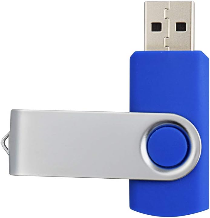Aiibe 10 Pack 4GB 4G Flash Drive USB Flash Drive Thumb Drives USB 2.0 Memory Stick Wholesale/Lot/Bulk (4GB, 10 Pack, Blue)