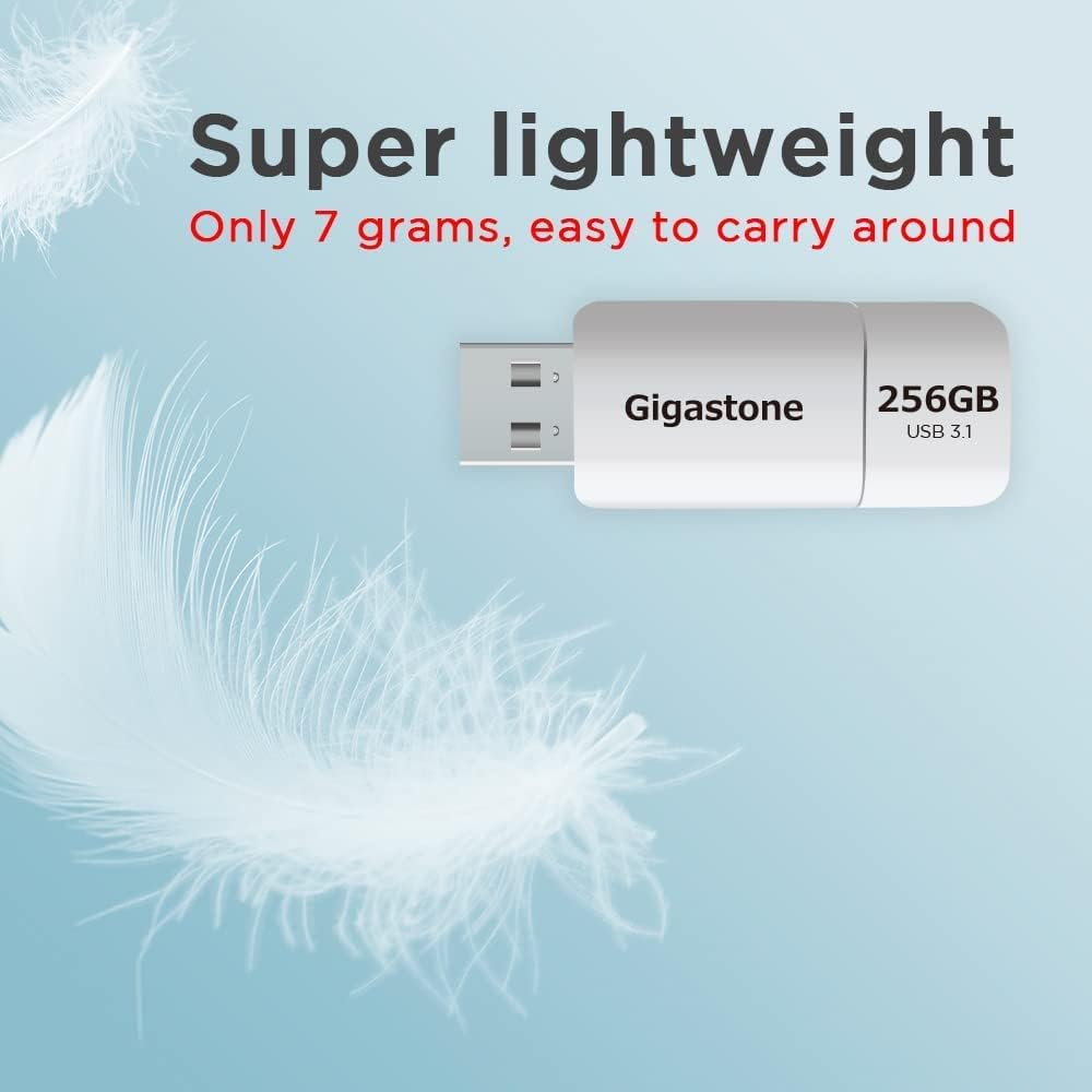 GIGASTONE 256GB Flash Drive (2 Pack) Z60 USB 3.2 Gen 1, 120MB/s Ultra Fast, Retractable Capless Slider Design, Data Storage, Backup for PC/Mac/TV/Car Audio, USB 2.0/3.0/3.1 Compatible