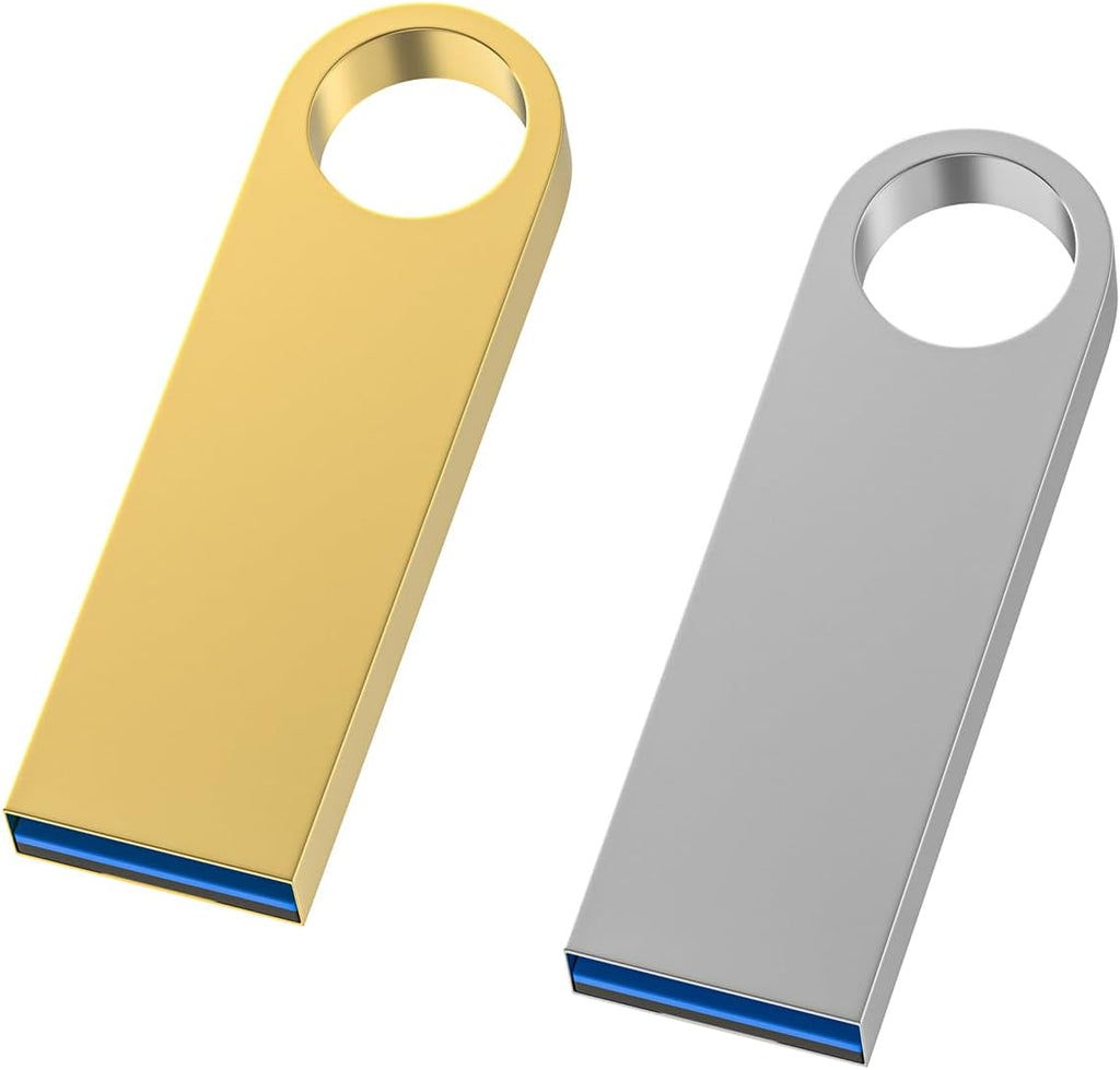 USB 3.0 Flash Drive 64GB 2 Pack, Wooolken High Speed USB 3.0 Thumb Drives Sleek Metal Flash Drives with Keychains, Memory Stick, USB Drive for PC/Computers/Mac/Laptops