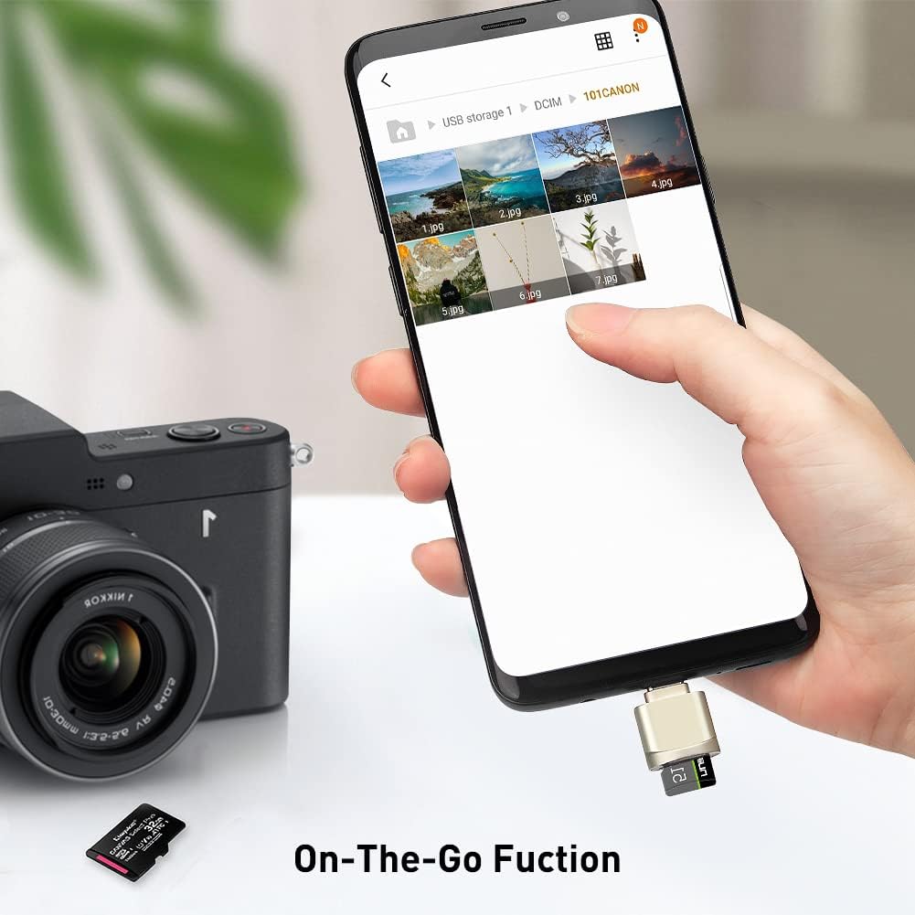 leizhan Type C Micro SD/TF Card Reader with Keychain,USB C to Micro SD SDHC SDXC OTG Memory Reader, Type C Card Reader Adapter Compatible for Mac Windows Lixus Samsung Galaxy - Silver