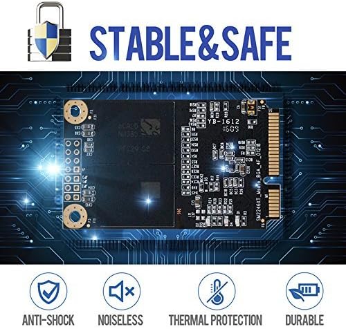 SSD MSATA 250GB Shark Speed Internal Solid State Drive High Performance Hard Drive for Desktop Laptop SATA III 6Gb/s Includes SSD (250GB, MSATA)