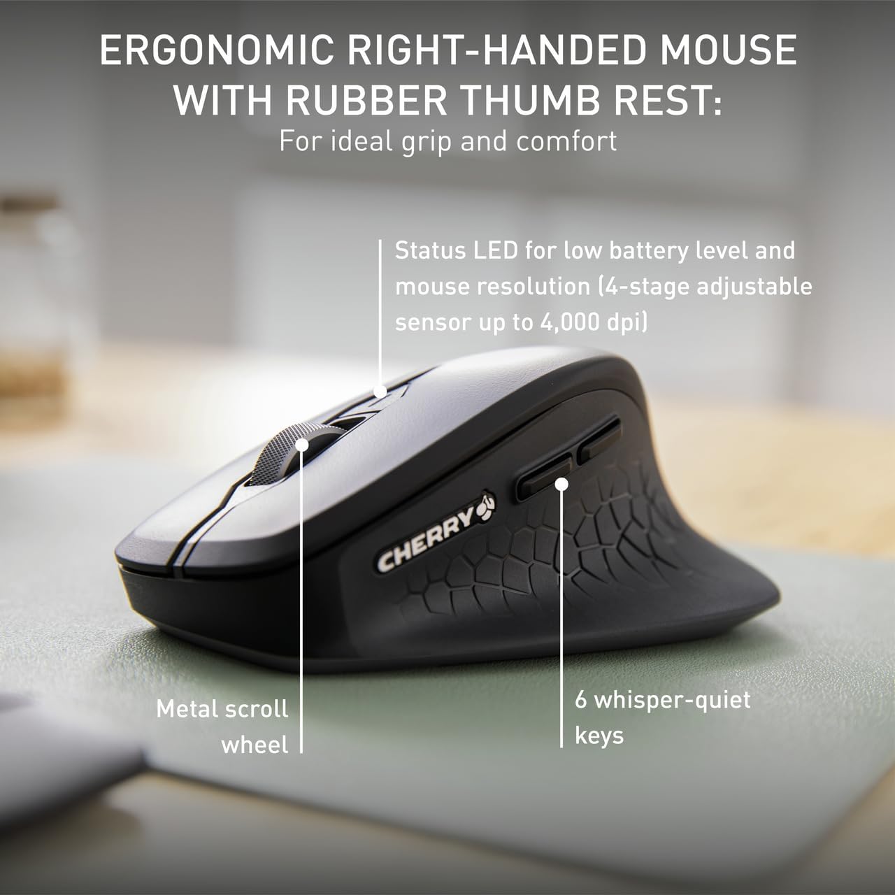Cherry Stream Comfort Desktop Wireless Keyboard and Mouse | USB SX Scissors Mechanism | Whisper-Quiet Silent | Keystroke (Black, Desktop Combo)