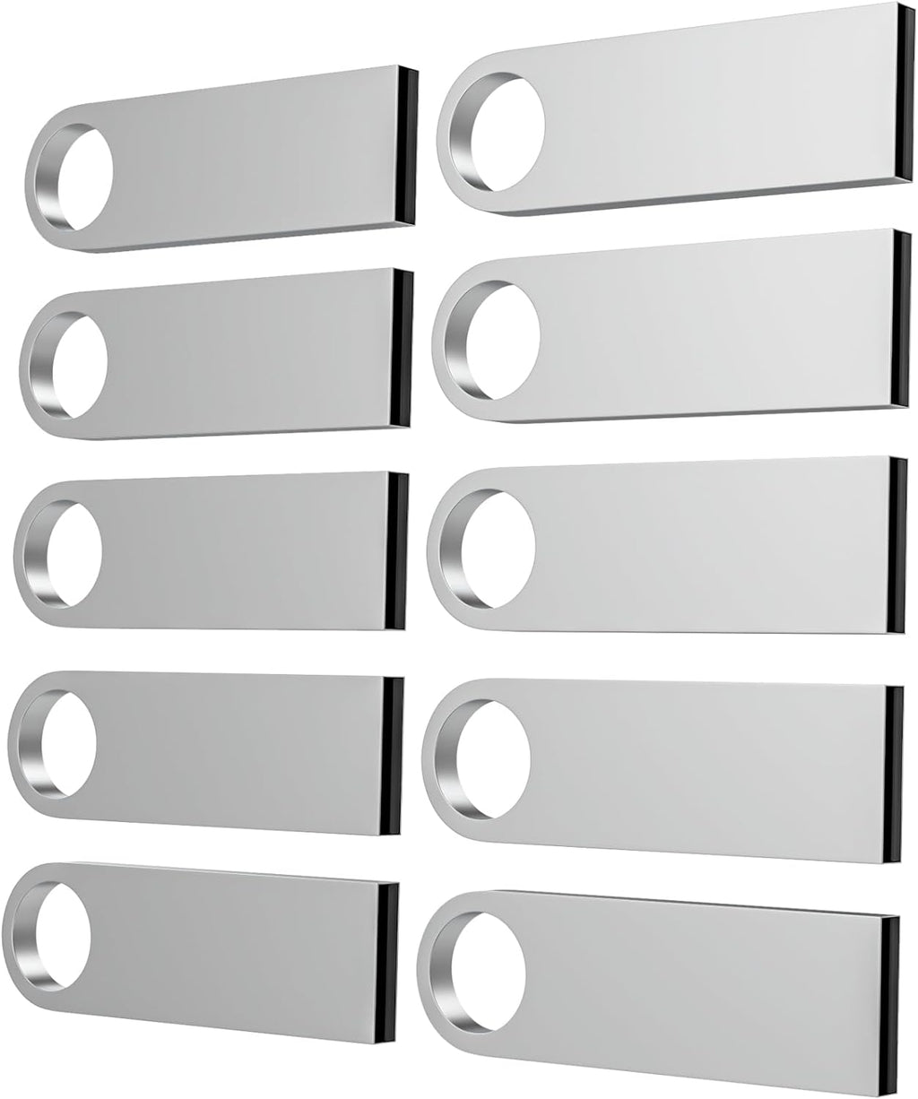ABLAZE 1GB Flash Drive 10 Pack, Metal USB 2.0 Thumb Drives with Keychains USB Sticks Pendrives (Sliver)