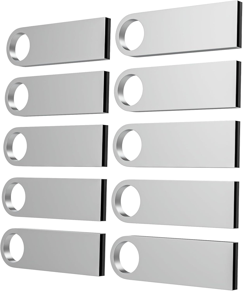 ABLAZE 2GB Flash Drive 10 Pack, Metal USB 2.0 Thumb Drives with Keychains USB Sticks Pendrives (Sliver)