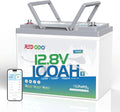 Redodo 12V 100Ah LiFePO4 Battery Bluetooth, Low-Temp Protection BCI Group 24 Lithium Battery for Trolling Motor, Bulit-in 100A Smart BMS, Perfect for Marine, Boat, RV, Solar and Off Grid