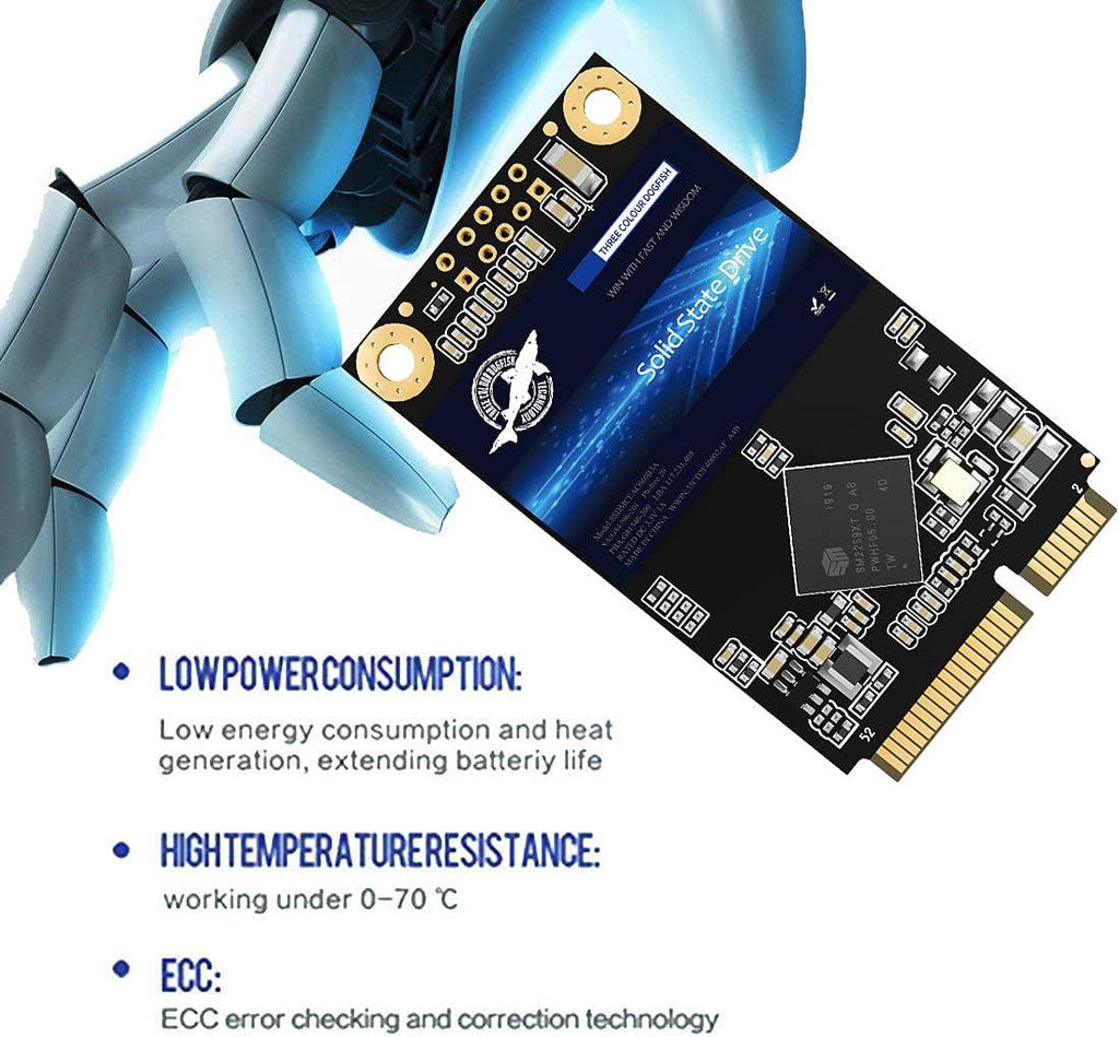 Dogfish mSATA SSD 64GB 3D NAND MLC SATA III 6 Gb/s, mSATA (30x50.9mm) Internal Solid State Drive - Compatible with Desktop PC Laptop - (MSATA 64GB)