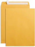Blue Summit Supplies 100 10” x 13” Catalog Envelopes, Self Seal, by BlueSummitSupplies