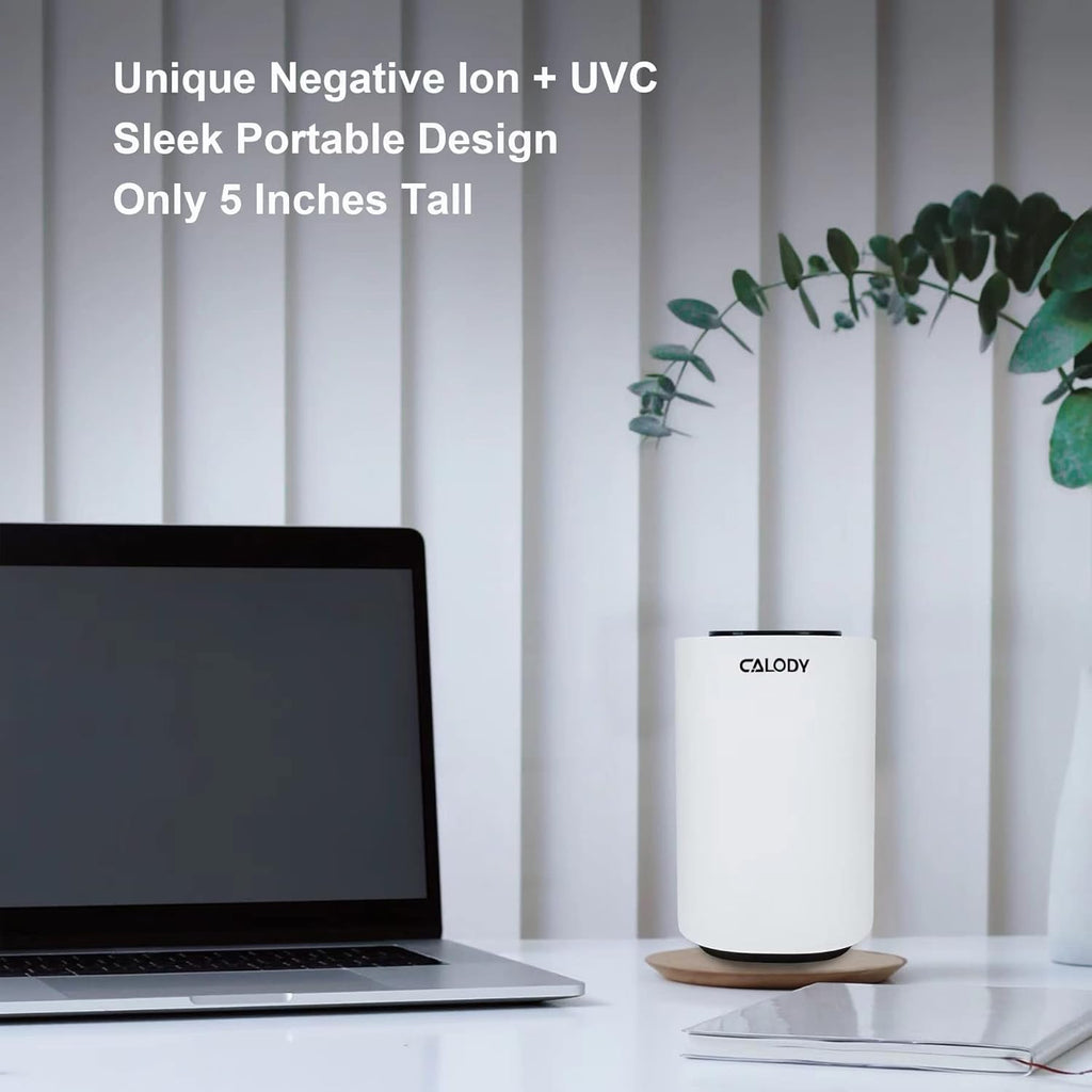 Calody Air Purifiers for Bedroom Home, Car air purifier Ionizer, 15 Million Negative Ions for Smokers, 30dB Quiet Portable Ionic Air Purifiers, Helps Alleviate Allergies, Dust, Home, and Office Use