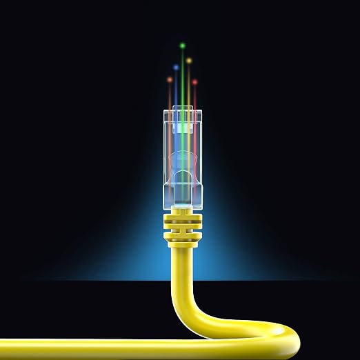 Maximm Cat 6 Ethernet Cable 2 ft - Image 8