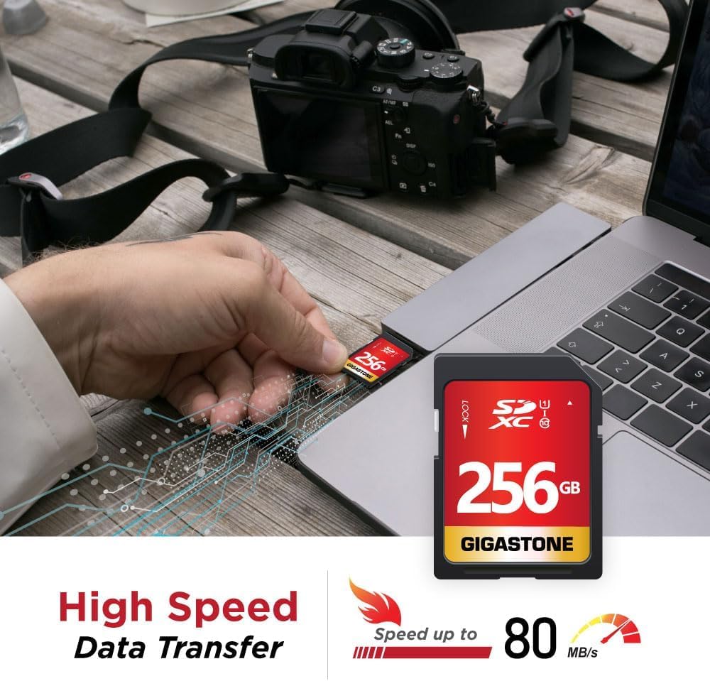 Gigastone 256GB SD Card UHS-I U1 Class 10 SDXC Memory Card High Speed Full HD Video Canon Kodak Olympus Digital Camera, with 1 mini case