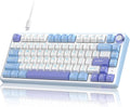 RK ROYAL KLUDGE R75 Mechanical Keyboard Wired with Volume Knob, 75% Custom Gaming Keyboard Gasket Mount RGB Backlit with Software, Cherry Profile, Hot Swappable Silver Switch, PBT Keycaps