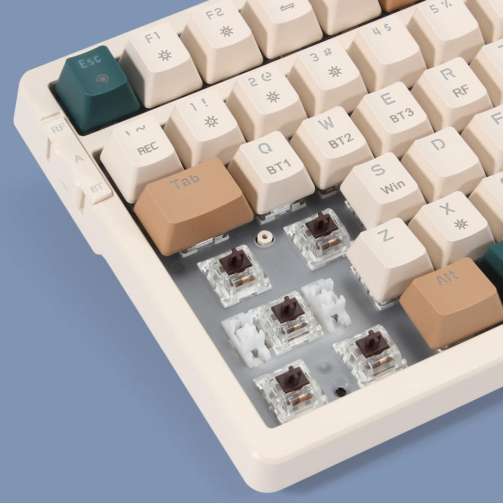 Wireless Mechanical Keyboard, Triple Mode 2.4G/USB-C/BT Gaming Keyboards 100 Keys RGB Backlit, Brown Switch Rechargeable | Brown Combo