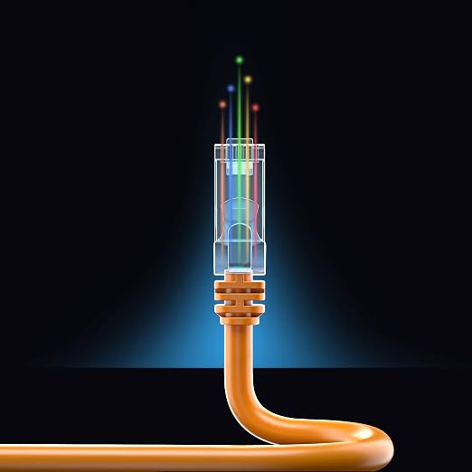 Maximm Cat 6 Ethernet Cable 1 ft - Image 8