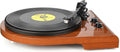 Vinyl Record Player with Bluetooth Input Output,Turntable with Built-in Preamp,USB Recording,Speed Adjustment,Counterweight and Moving Magnet Stylus,Upgraded Single-Platter Design (No Sub-Platter)