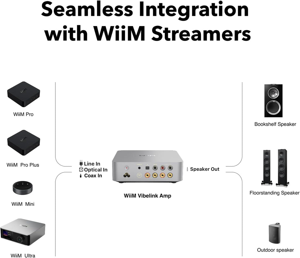 WiiM Vibelink Amp | 100W Power Amplifier with Premium ESS 9039Q2M DAC and TI TPA3255 | Compatible with WiiM Mini, Pro, Pro Plus, and Ultra | RCA, Coax, and Optical Inputs | Silver