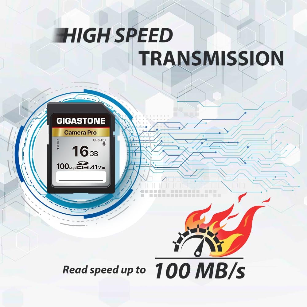 [5-Yrs Free Data Recovery] GIGASTONE 16GB SD Card 2-Pack, Camera Pro, A1 V10 SDHC Memory Card Compatible with SPYPOINT TACTACAM Trail Camera, with 2 Mini Cases.