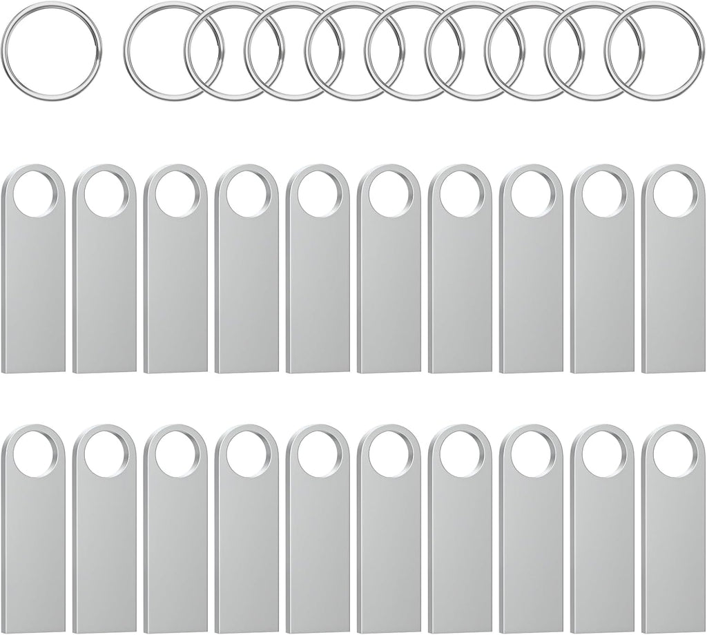 ABLAZE 1GB Flash Drive 20 Pack, Metal USB 2.0 Thumb Drives with Keychains USB Sticks Pendrives (Sliver)