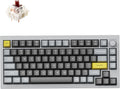 Keychron Q1 RGB Wired Custom Mechanical Keyboard Knob Version, 75% Layout QMK/VIA Programmable with Hot-swappable Gateron G Pro Brown Switch Double Gasket Compatible with Mac Windows Linux (Grey)