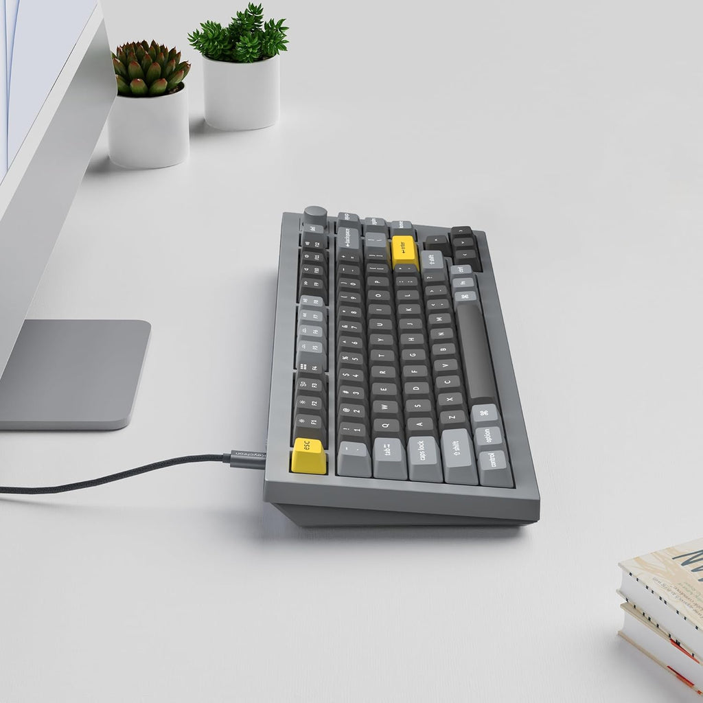 Keychron Q1 RGB Wired Custom Mechanical Keyboard Knob Version, 75% Layout QMK/VIA Programmable with Hot-swappable Gateron G Pro Blue Switch Double Gasket Compatible with Mac Windows Linux (Grey)