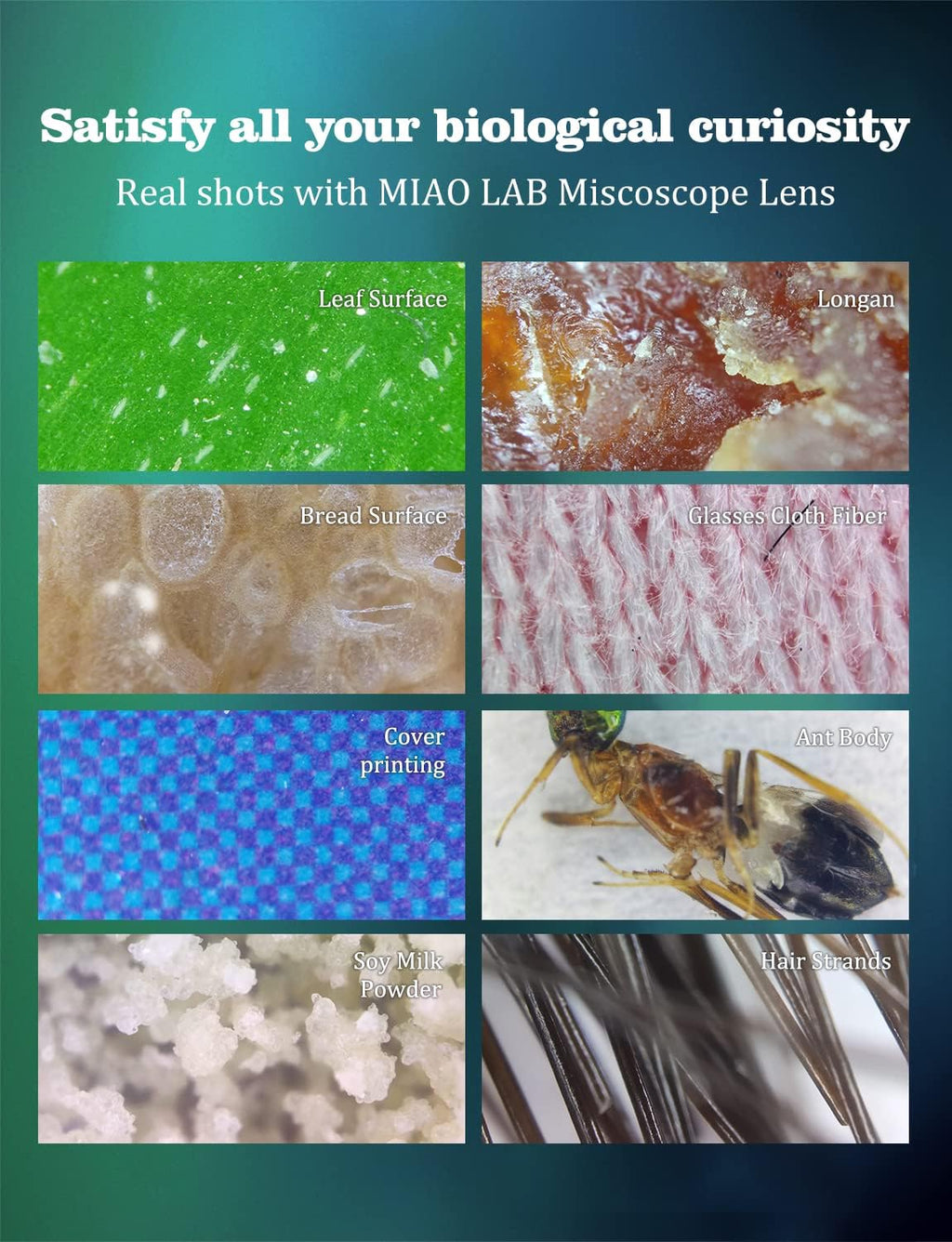 Phone Microscope with CPL Lens/LED Light, Nano Zoom 200X Pocket Microscope Camera Attachment with Universal Clip for Most iPhone/Andriod Phone - The Best Gift to Enjoy Microworld for Kids and Adults