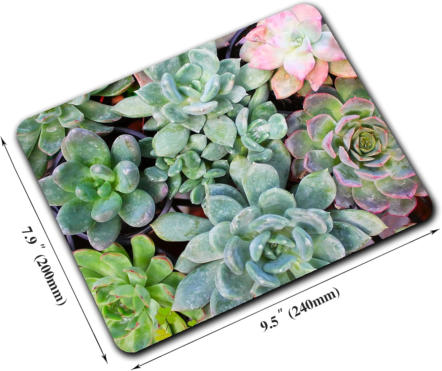 Cute Succulents Mouse Pad, Kawaii Succulent Mouse Pad for Women, Anti-Slip Rubber Base Wireless Mouse Pads for Laptop