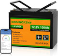 ECO-WORTHY 12V 100AH LiFePO4 Lithium Battery with Bluetooth, Max.1280Wh Energy, Low Temperature Protection, Group 24, Built-in 100A BMS, Perfect for Trolling Motor, RV, Boat, Solar Off-Grid