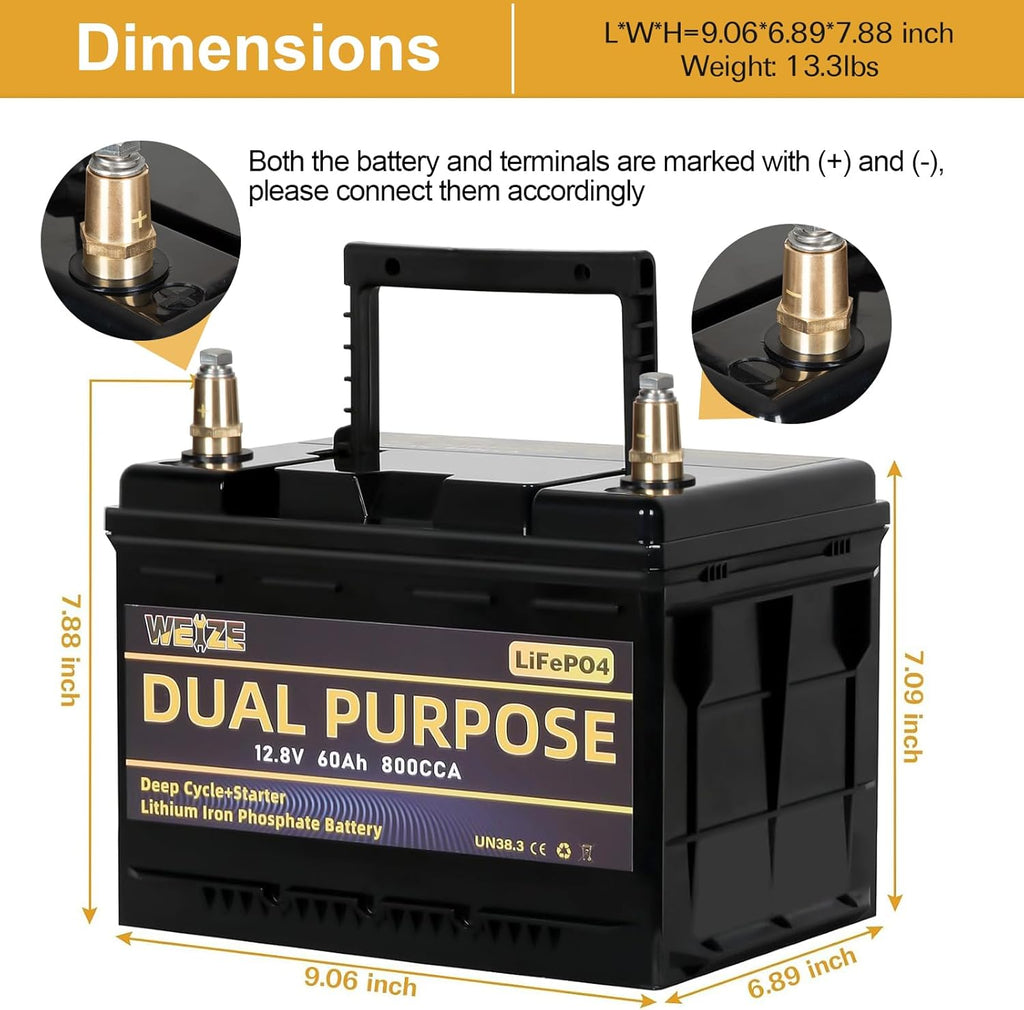 WEIZE 12V 60AH Dual Purpose LiFePO4 Lithium Battery, 800CCA Group 24 Group 34 Starting Battery Plus Deep Cycle Performance, Built-in Smart BMS, Perfect for Automotive, Trolling Motor, Marine, RV