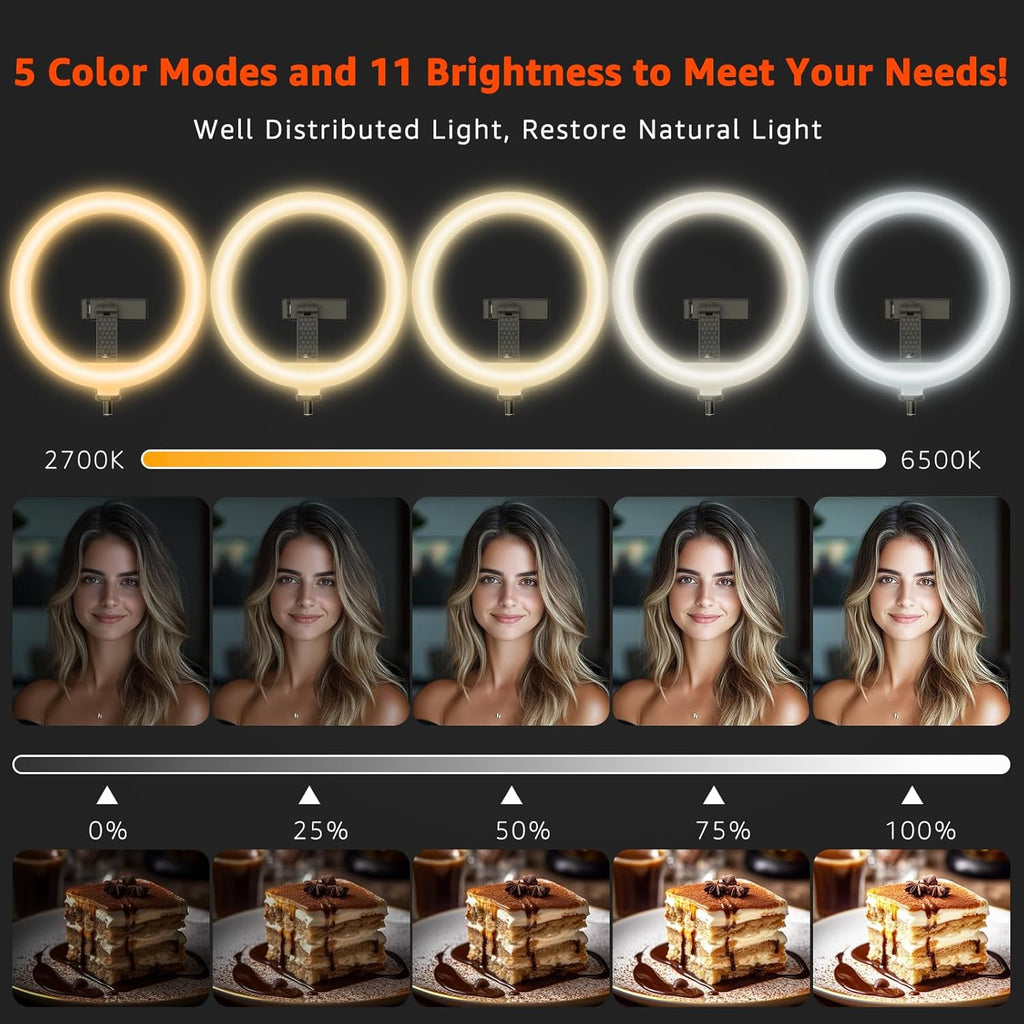 10" LED Ring Light with Overhead Phone Stand, CRI≥95 1200lm Dimmable Lighting, Adjustable Metal Arm with Remote & Phone Holder, for Streaming, Makeup, Zoom Calls, Photography