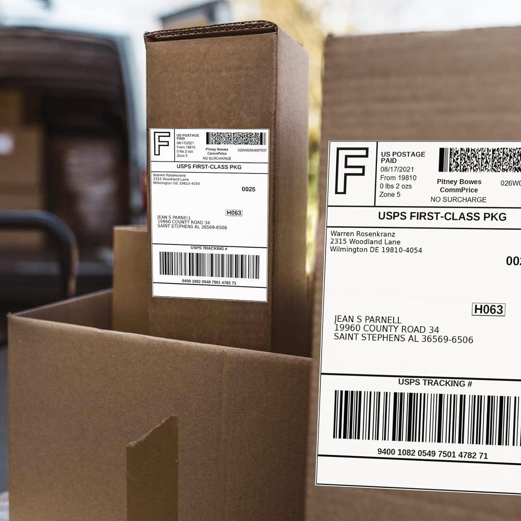 FungLam 4 Rolls 4x6 Direct Thermal Shipping Labels, 250 Labels Per Roll, 1" Core, Perforated, White Mailing Postage Shipping Label Compatible with Zebra 2844 ZP-450 ZP-500 ZP-505