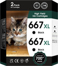 667XL 667 XL 667 Ink Cartridges Replacement for hp 667 Ink cartridges Black and Color Work for Deskjet Ink Advantage 1275 2375 2775, Deskjet Ink Advantage Plus 6075 6475 6476 (2 Black)
