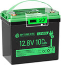 12V 100Ah LiFePO4 Lithium Battery, Mini Deep Cycle Rechargeable LiFePO4 Battery, Max.15000 Cycles Built in 100A BMS for RV, Trolling Motor, Camping, Marine, Solar, Home Energy Storage(1 Pack)