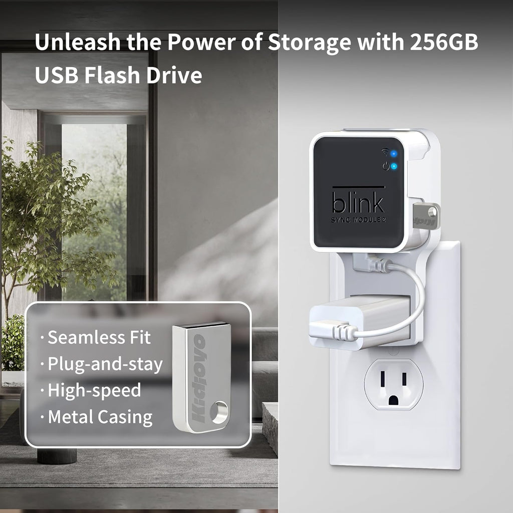 256GB USB Flash Drive & Outlet Wall Mount for Blink Sync Module 2 with Short Cable - Save Space - No Messy Wires - Easy Move Mount Bracket Holder for Blink Outdoor Indoor Security Camera (2 Pack)