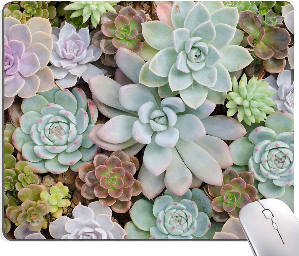 Cute Succulents Mouse Pad, Natural Plants Mousepad for Design, Anti-Slip Rubber Base Wireless Mouse Pads for Laptop
