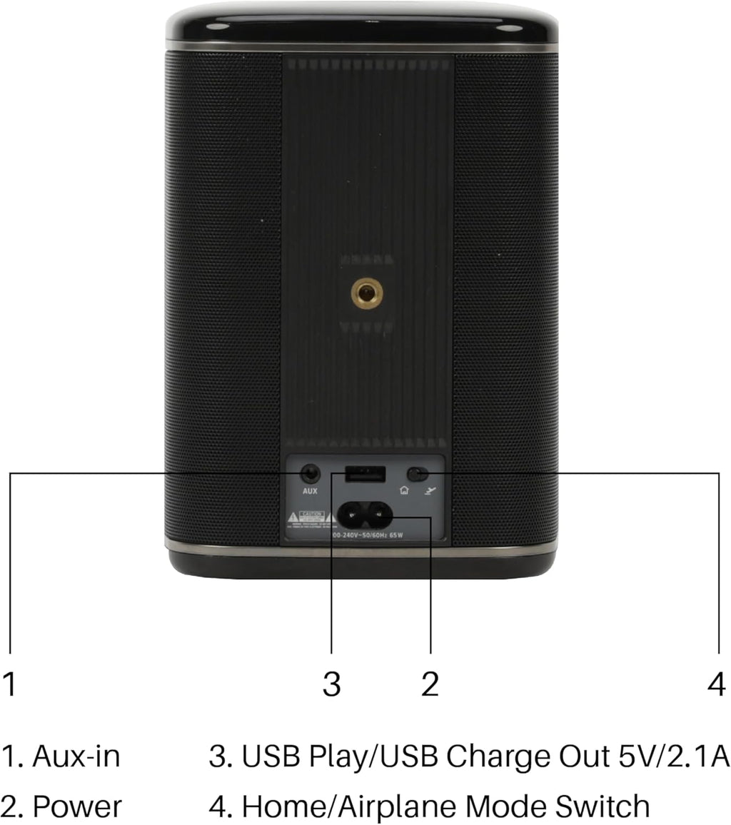 RIVA Upgraded Arena Wi-Fi Bluetooth Hi-Fi Speaker, 6 Drivers, 50W, Multiroom Music System, Supports Airplay 2, Chromecast, Spotify, Tidal and More Streaming (Black)