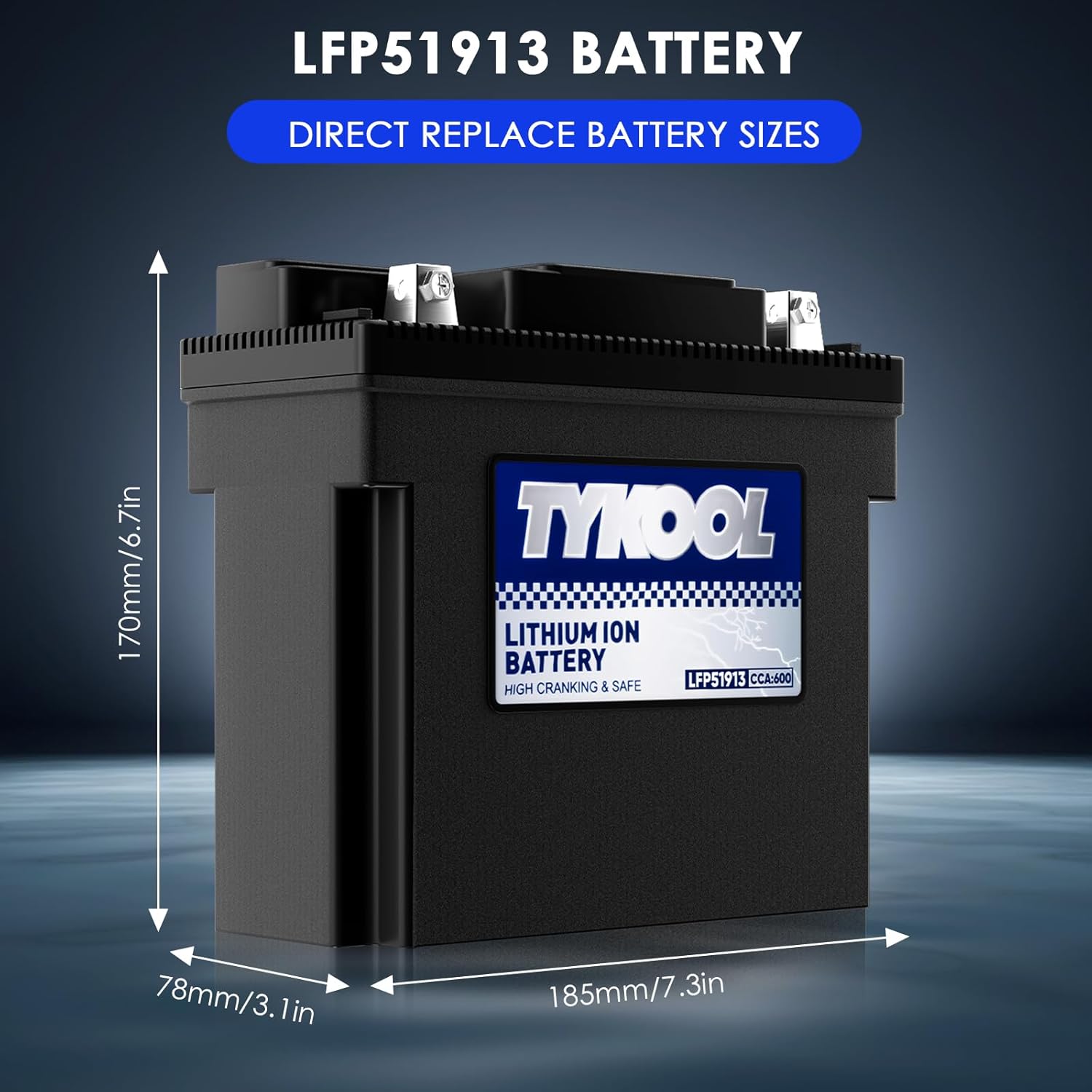 TYKOOL 51913,51814,53030,Digital Readout, High Performance Lithium Phosphate Motorcycle Battery, 600CCA,12Ah,Compatible for BMW Series Motorcycle R1300GT,R1600GT,Champion generator battery