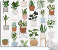 Hokafenle Mouse Pad, Square Personalized Computer Mouse Pads with House Plants Design, Washable Mouse Mat, Office Home Non-Slip Rubber Base Mousepad