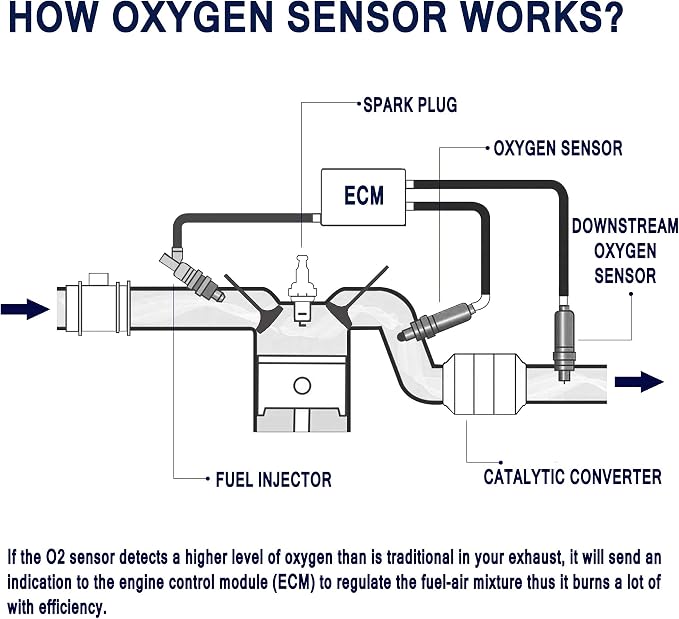 HiSport Oxygen Sensor - Image 6