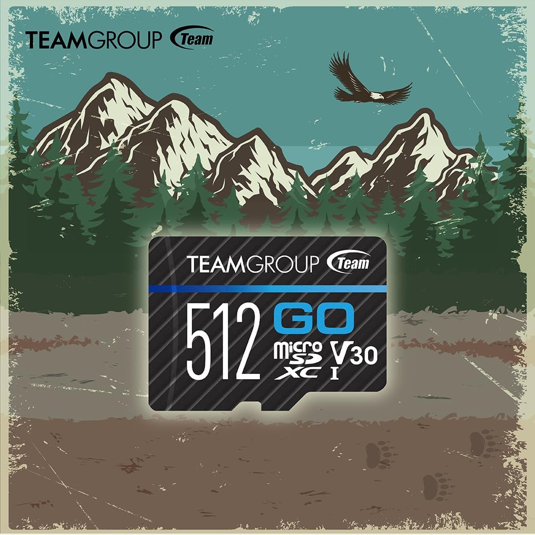 TEAMGROUP GO Card 512GB Micro SDXC UHS-I U3 V30 4K, R/W up to 100/90 MB/s for GoPro & Action Cameras High Speed Flash Memory Card for Outdoor, Sports, 4K Shooting TGUSDX512GU302