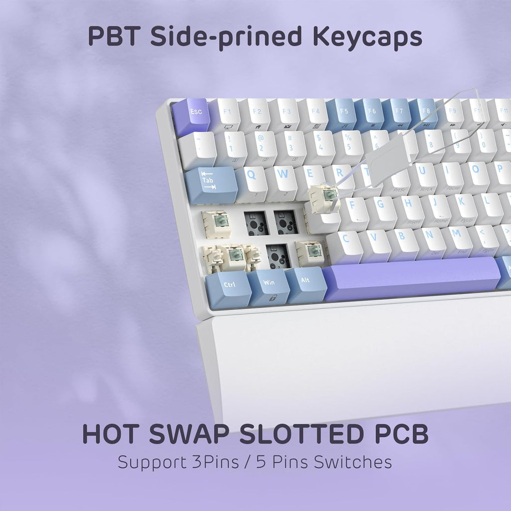 RK ROYAL KLUDGE RK96 RGB Limited Ed, 90% 96 Keys Wireless 3-Mode BT5.0/2.4G/USB-C Hot Swappable Mechanical Keyboard w/Wrist Rest, Volume Control, Software, Massive Battery, RK Pale Green Switch