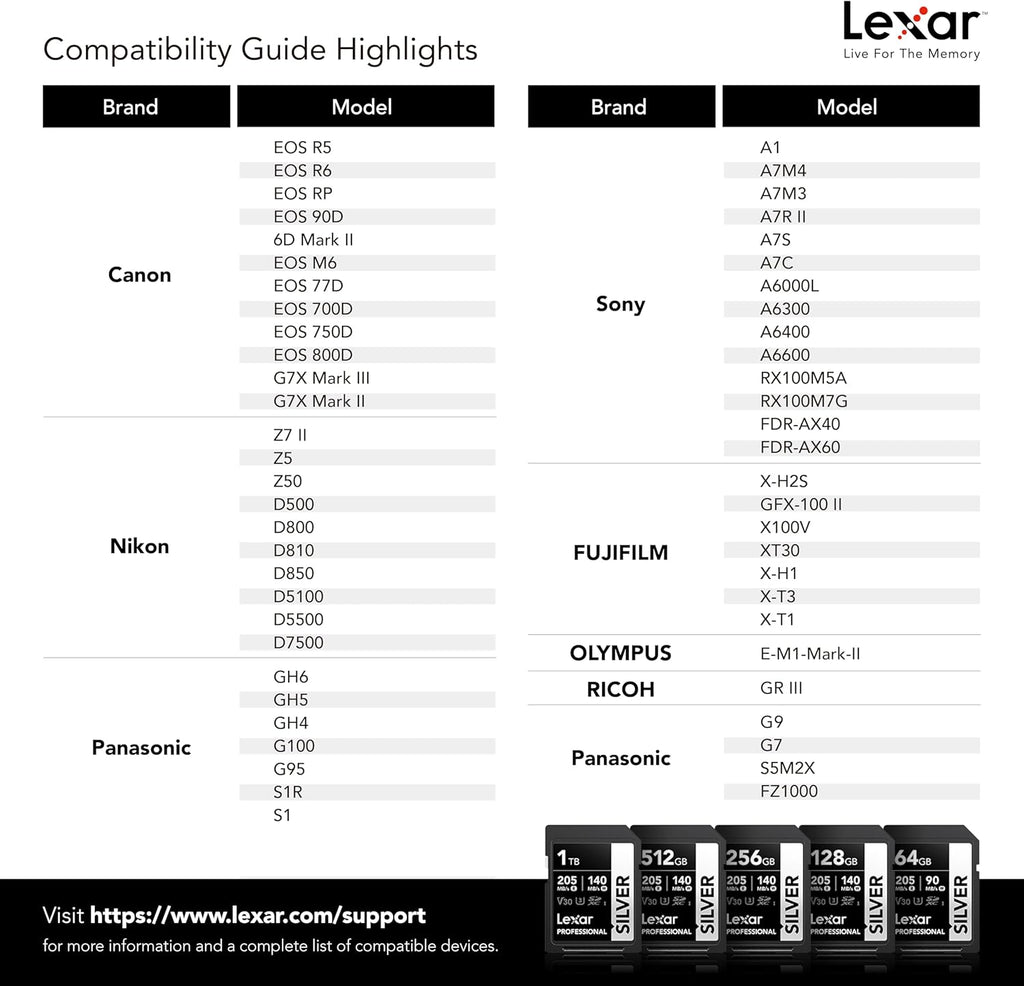 Lexar 256GB Professional Silver SD Card, UHS-I, C10, U3, V30, 4K, Up to 205/140 MB/s SDXC Memory Card, for Professional Photographer, Videographer, Enthusiast (LSDSILV256G-BNNNU)