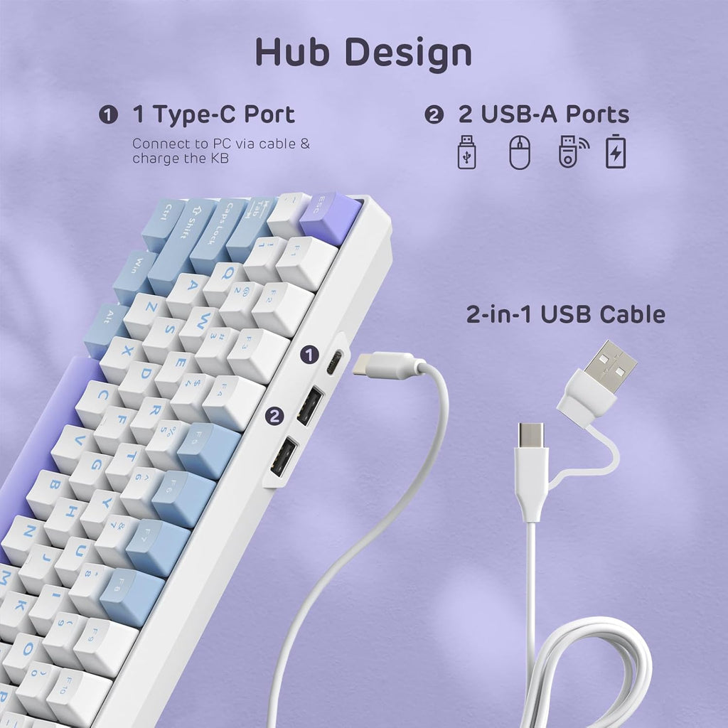 RK ROYAL KLUDGE RK96 RGB Limited Ed, 90% 96 Keys Wireless 3-Mode BT5.0/2.4G/USB-C Hot Swappable Mechanical Keyboard w/Wrist Rest, Volume Control, Software, Massive Battery, RK Pale Green Switch