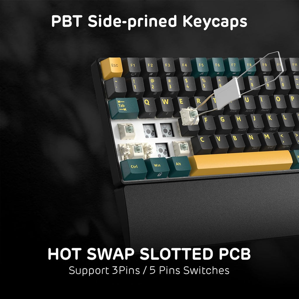 RK ROYAL KLUDGE RK96 RGB Limited Ed, 90% 96 Keys Wireless 3-Mode BT5.0/2.4G/USB-C Hot Swappable Mechanical Keyboard w/Wrist Rest, Volume Control, Software, Massive Battery, RK Viridian Switch