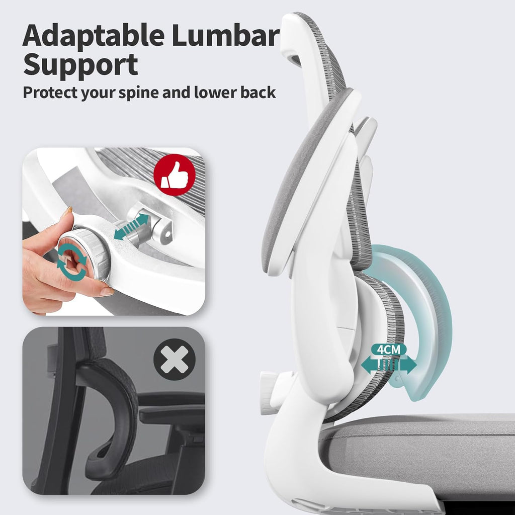 Office Chair - Ergonomic Desk Chair with Adjustable Lumbar Support, Mesh Computer Chair, Executive Chair for Home Office Comfortable Lumbar Support(Grey)
