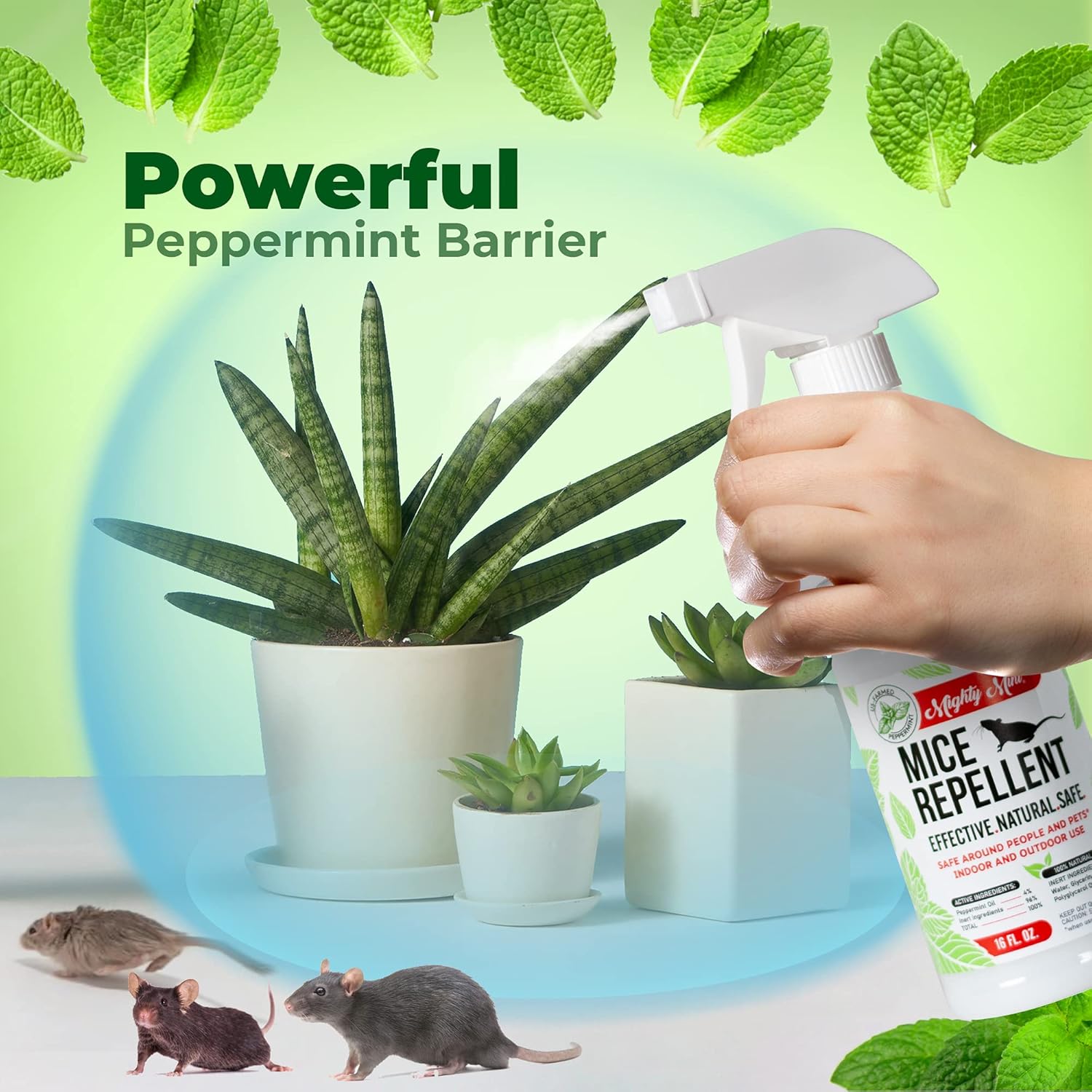 Mighty Mint Peppermint Oil Mouse Repellent Spray – Natural Indoor & Outdoor Control for Mice and Rodents – Plant-Based, Extra-Strong Formula - 16 oz (Pack of 2)
