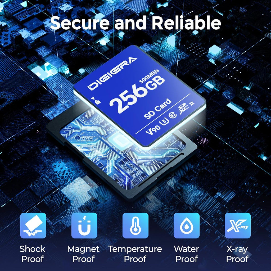 256GB LSU200 SDXC UHS-II Memory Card - up to 300MB/s, C10, U3, V90, 8K, SD Card for Computers, Digital Cameras, Home Theatre Devices, Car Navigation Systems (1 Pack)