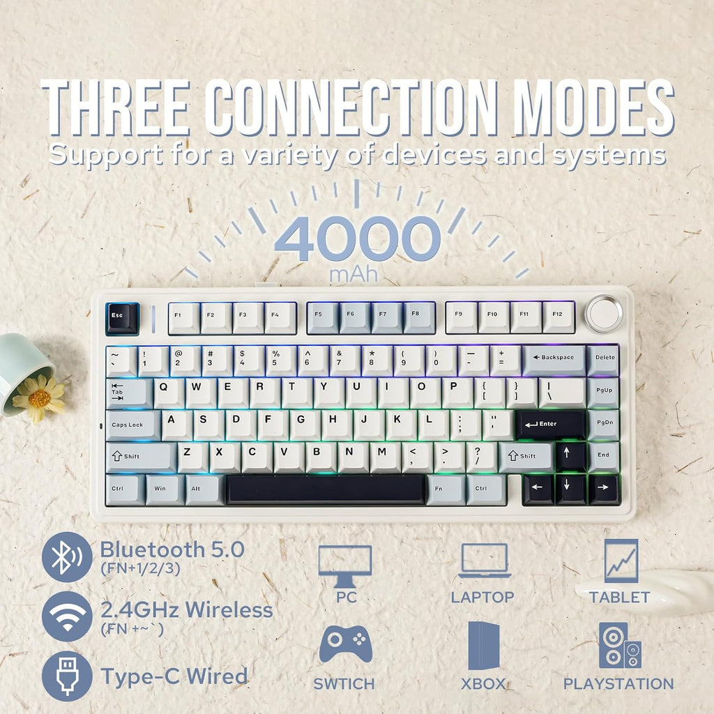 EPOMAKER x Aula F75 Gasket Mechanical Keyboard, 75% Wireless Hot Swappable Gaming Keyboard with Five-Layer Padding&Knob, Bluetooth/2.4GHz/USB-C, RGB (Light Blue, LEOBOG Reaper Switch)