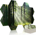 Mollywell Art Acoustic Panels, Soundproofing, Wall Decoration, Suitable for Decorative Soundproof Wall Panels, Room Aesthetics & Echo Reduction (Forest Summer), 12x10x0.4 Inch