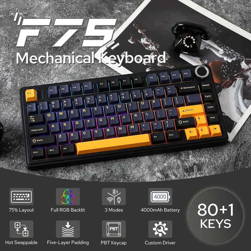 EPOMAKER x Aula F75 Gasket Mechanical Keyboard, 75% Wireless Hot Swappable Gaming Keyboard with Five-Layer Padding&Knob, Bluetooth/2.4GHz/USB-C, RGB (Black, Ice Vein Switch)